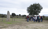 visitas patrimonio not